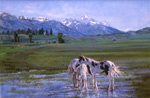 June Morning