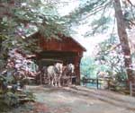 Sturbridge Village Bridge