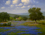 Among The Hills