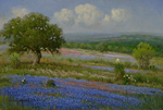 Concerto in Blue by Cal Gaspard part of our Bluebonnet Gallery