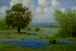 Early Spring