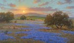 Hill Country Sunrise by Cal Gaspard part of our Bluebonnet Gallery