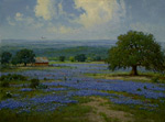 Indigo Morn