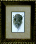 Lone Buffalo (in frame)
