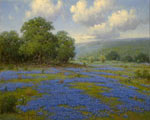 Spring in the Hills