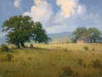 Sunlit Hills