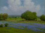 Touch of Spring