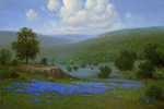Tranquil Valley