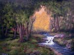 Forest Dawn