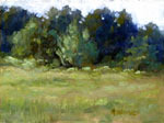 By The Cow Pond