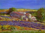 Lavender Field