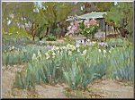 The Iris Farm