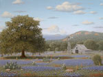 Far View