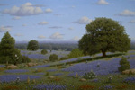 Texas Tapestry