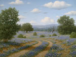 Winding Trail