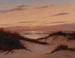 Beyond the Dunes
