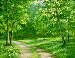 Forest Pathway