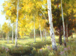 Aspen Grove Fall