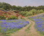 Bluebonnets